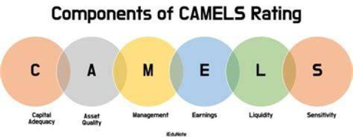 Are Camels ratings confidential?