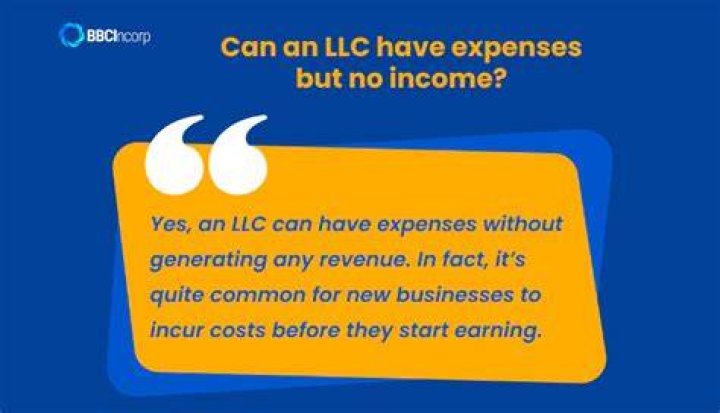 Can a LLC have no income for a year?