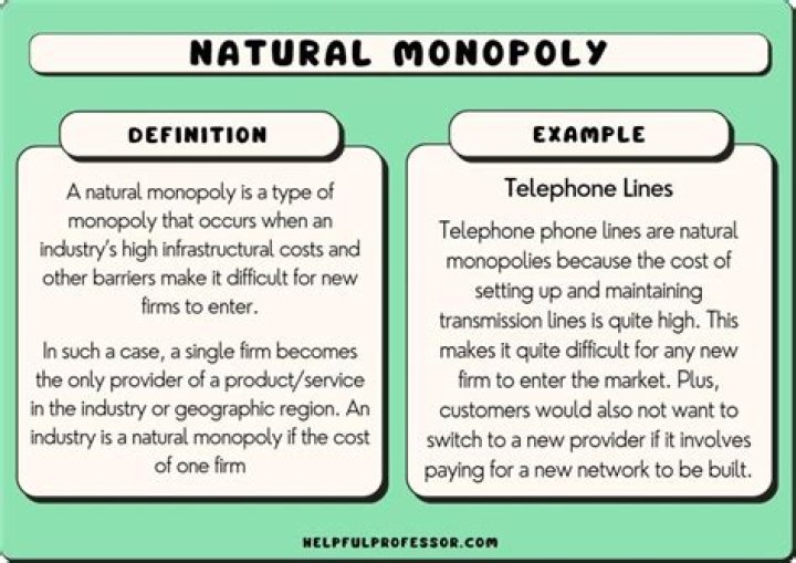 Do natural monopolies exist?