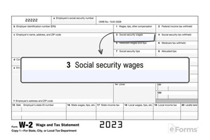 How can I get my W2 without a Social Security number?
