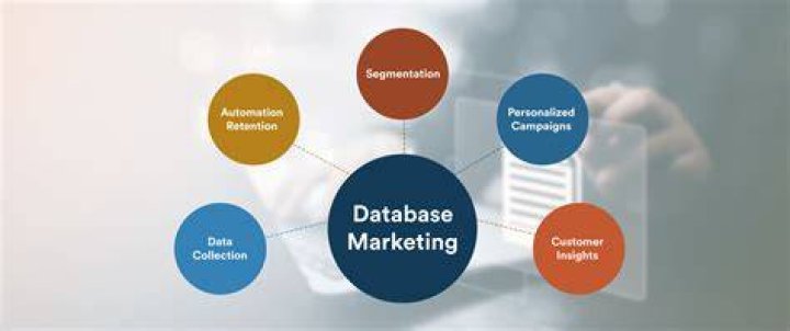 How database marketing helps organization improve their market share?
