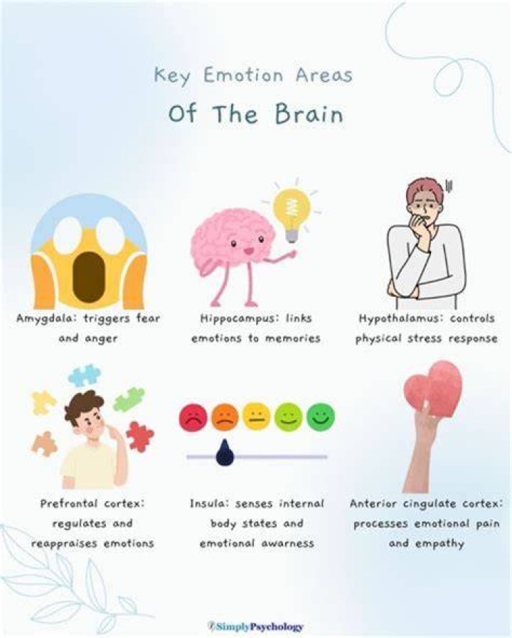 How do emotions affect trade?