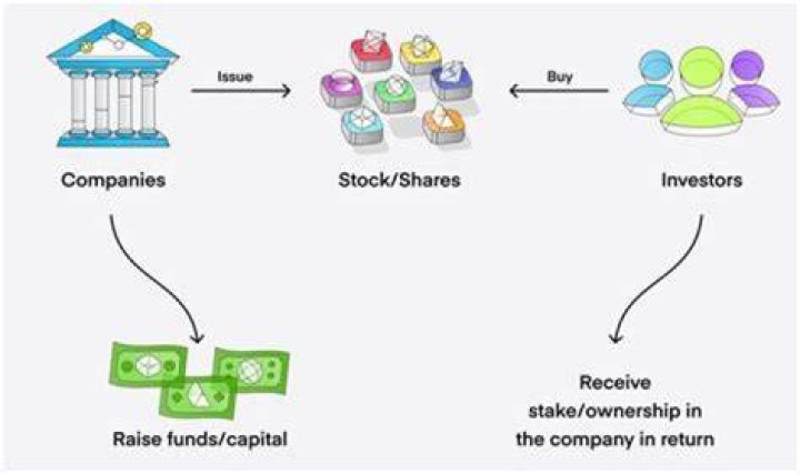 How does a private company issue stock?