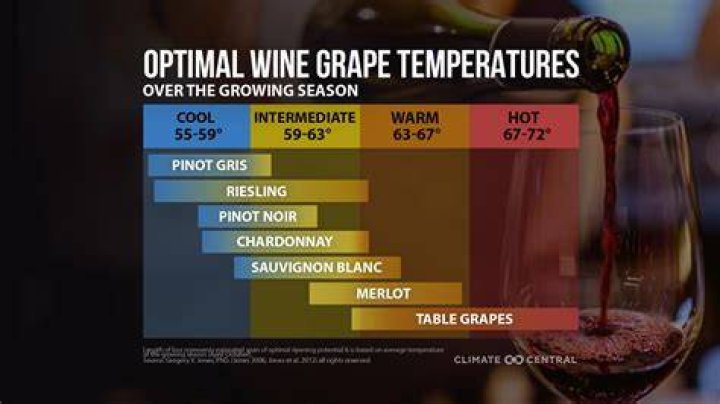How does climate affect wine?