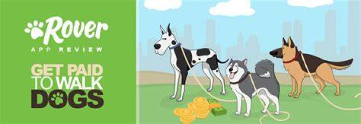 How much do you get paid with Rover?
