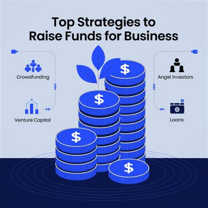 In what way the company would be able to raise funds?