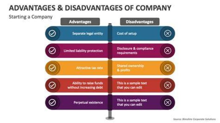 What are advantages and disadvantages of company?