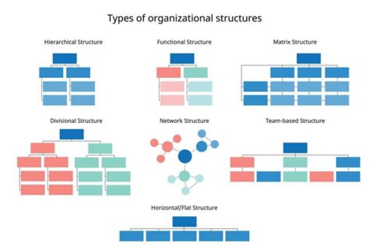 What are the different types of organizational structures in business?