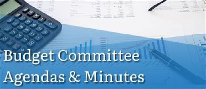 What are the main duties of budget committee?