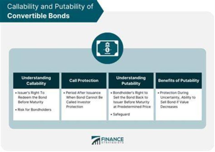 What are the reasons for issuing warrants and convertible bonds?