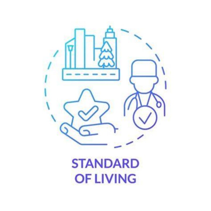 What are the standards of living criteria that developing countries have?