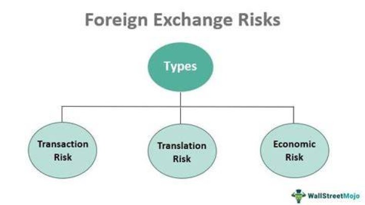 What are the types of exchange risks?