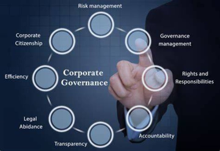 What brought about corporate governance?