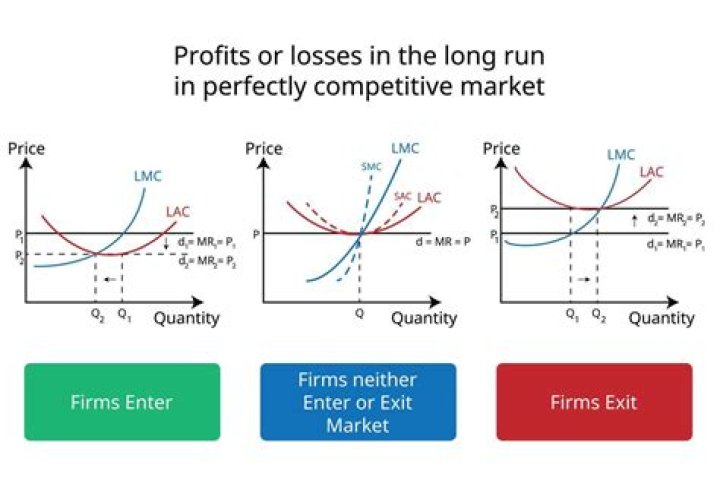 What does a perfectly competitive firm do?