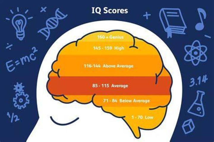 What does an IQ of 98 mean?