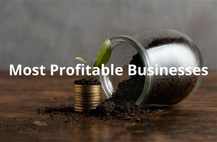 What does it mean when a company is profitable?