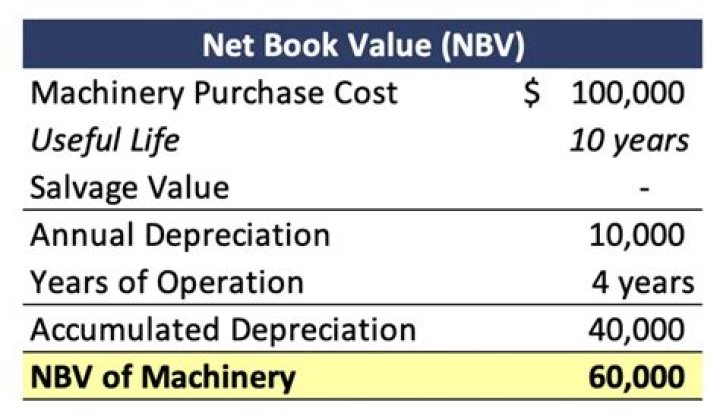 What does net book value represent?