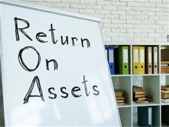 What does return on assets ratio tell you?