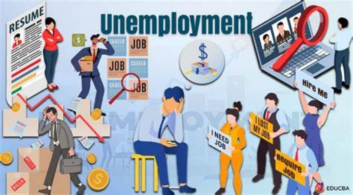 What factors impact the cost of unemployment insurance?