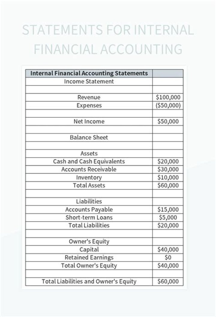 What is an internal financial statement?