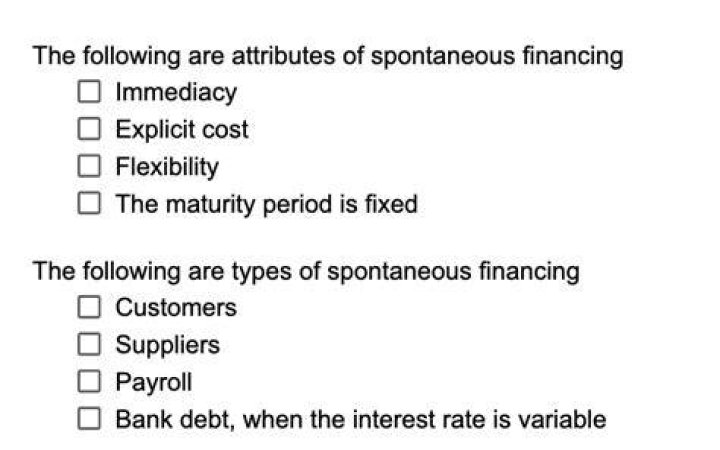 What is included in spontaneous financing?