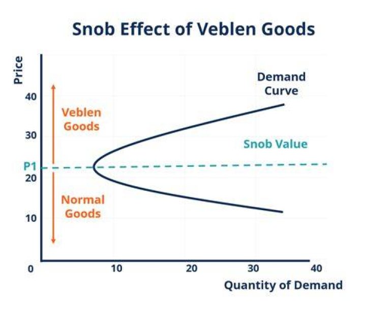 What is snob effect in economics?