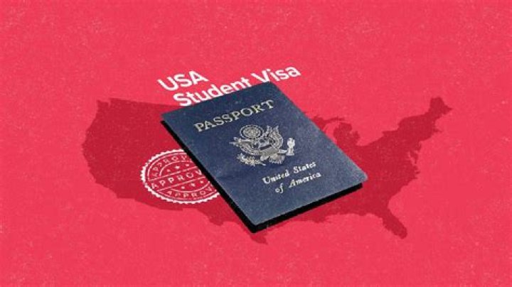 What is the code of student visa in USA?
