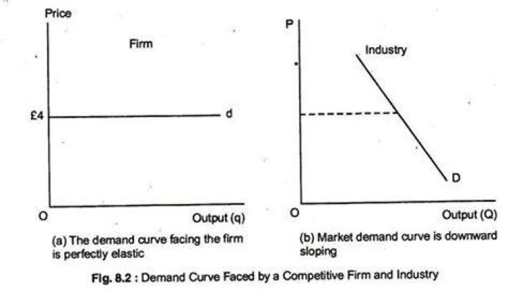 What is the demand curve of a perfectly competitive firm?