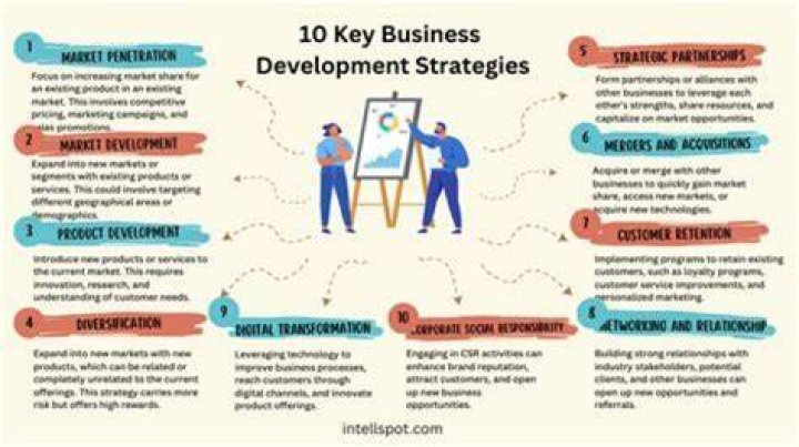 What is the importance of business strategies explain with suitable examples?