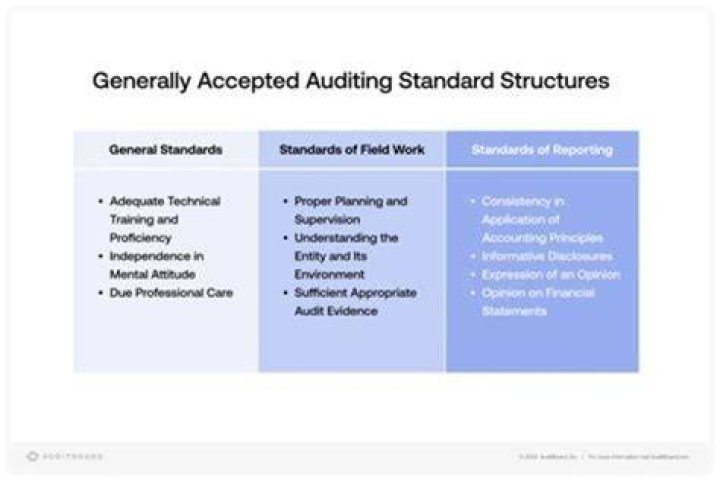 Which organization can issue auditing standards in the United States?