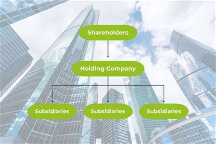 Why do companies make subsidiaries?